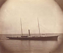 HMCo #65p Gleam
