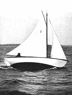 HMCo #791s Shark